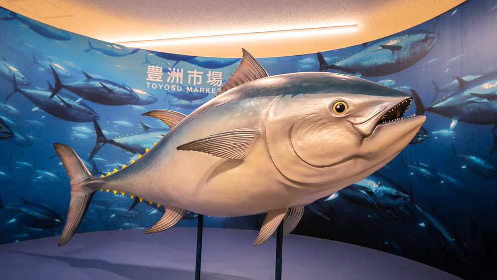 Entrance of tuna auction In Toyosu Fish Market