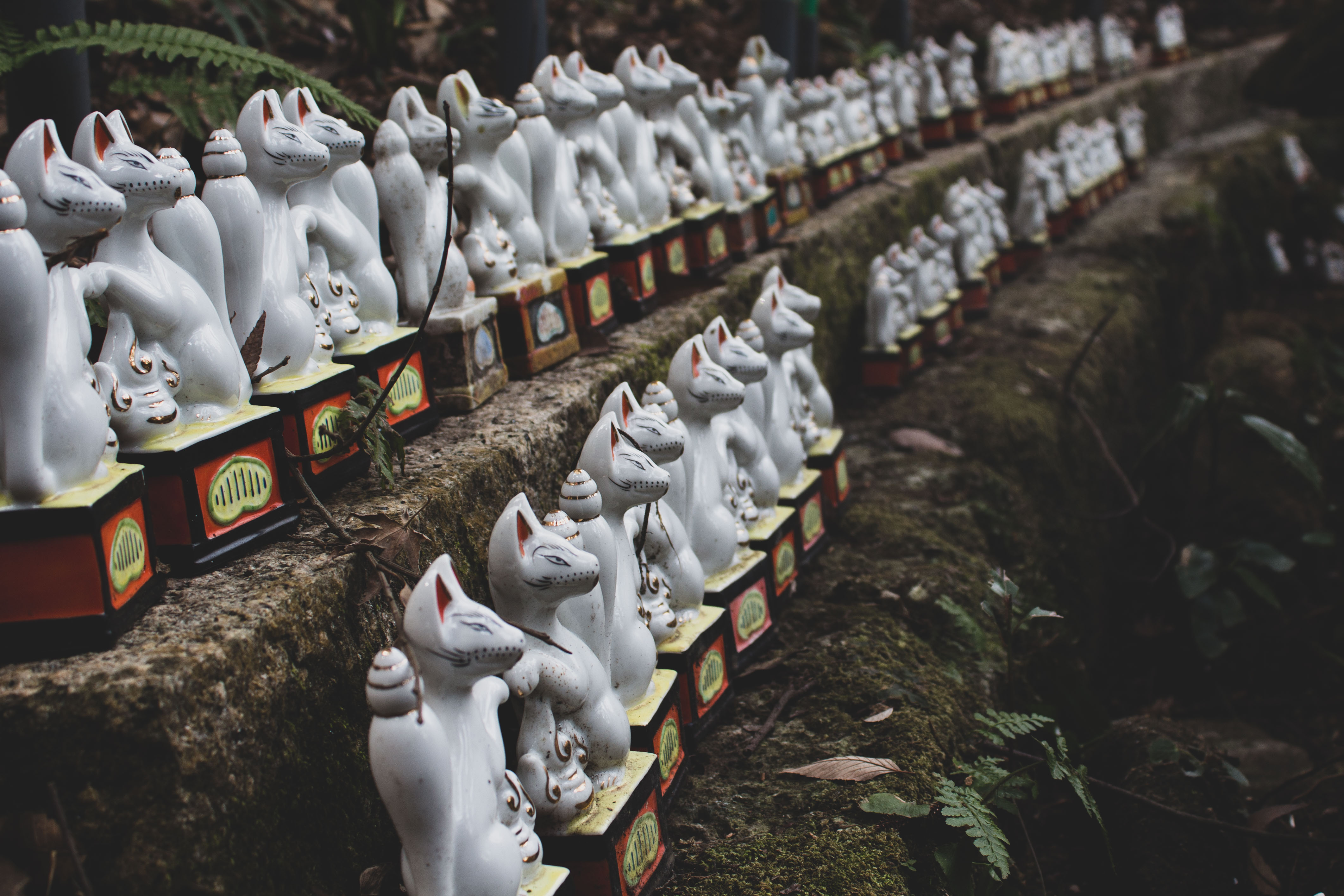 sasuke inari shrine small foxes
