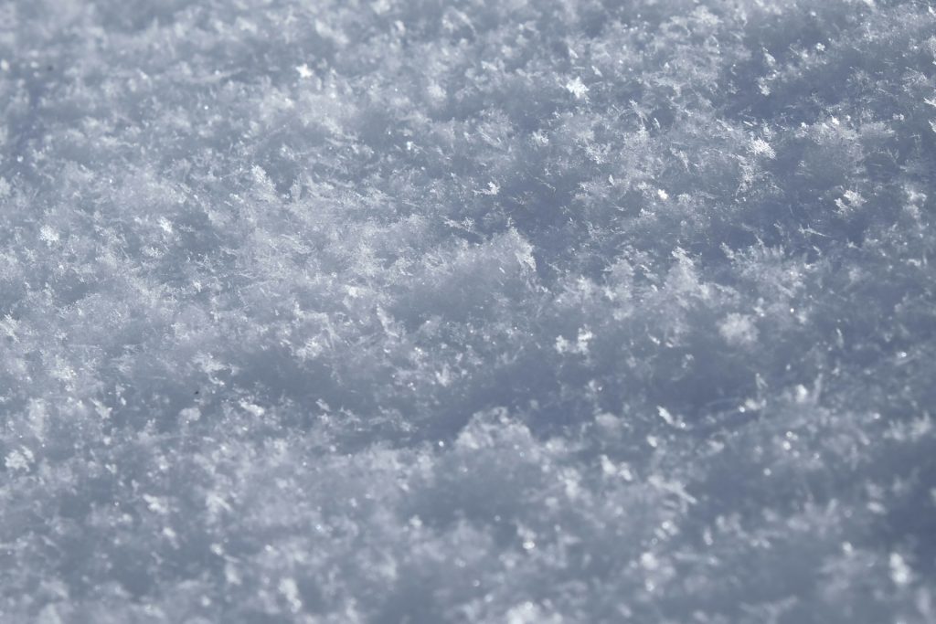Powder Snow in Japan