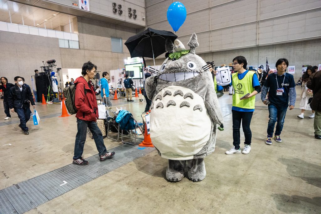 Totoro cosplay